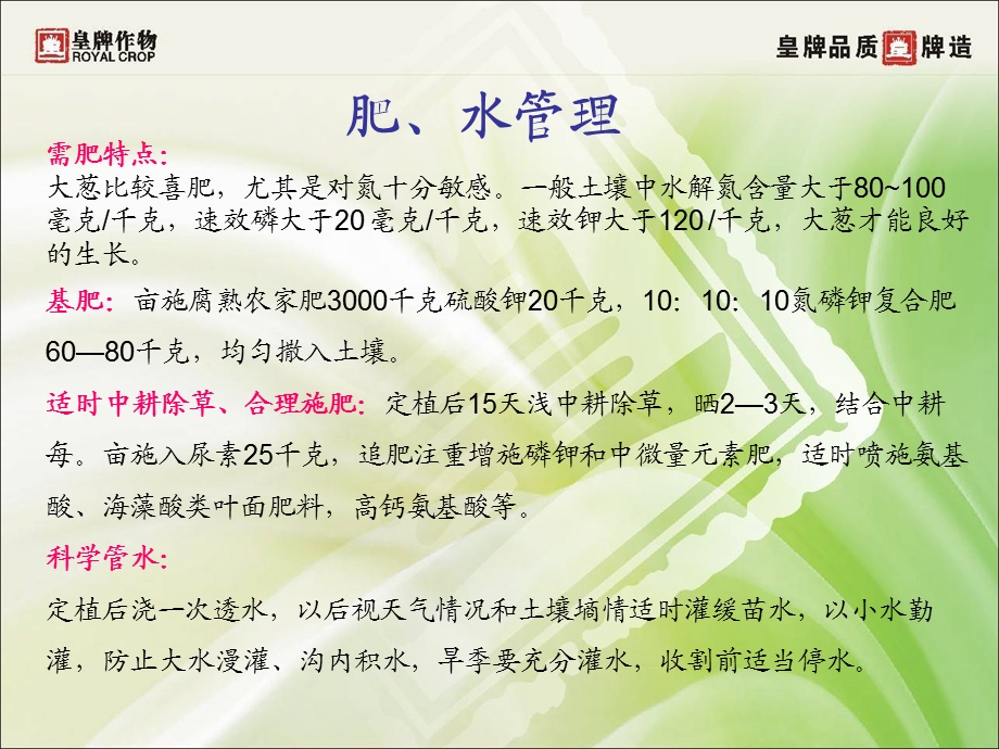 《葱病虫害防治》PPT课件.ppt_第3页