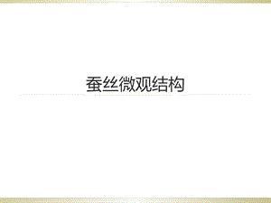 《蚕丝微观结构》PPT课件.ppt