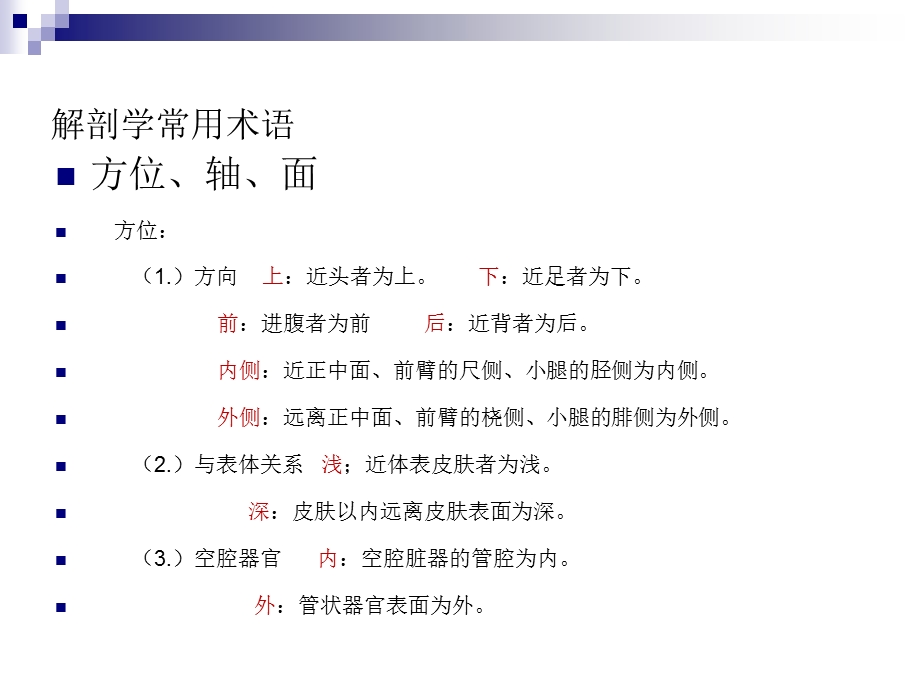 《运动系统解剖》PPT课件.ppt_第3页