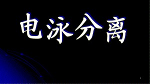 《电泳分离概述》PPT课件.ppt