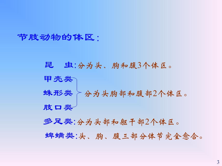 《节肢动物门》PPT课件.ppt_第3页