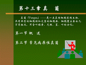 【教学课件】第十三章真菌.ppt