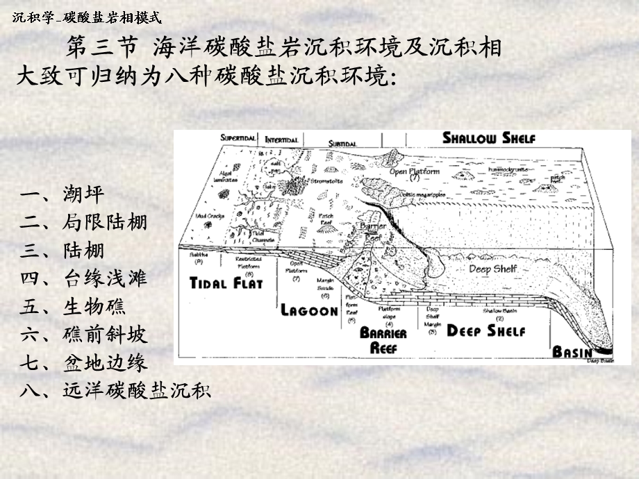 CH08B碳酸盐岩沉积相.ppt_第2页