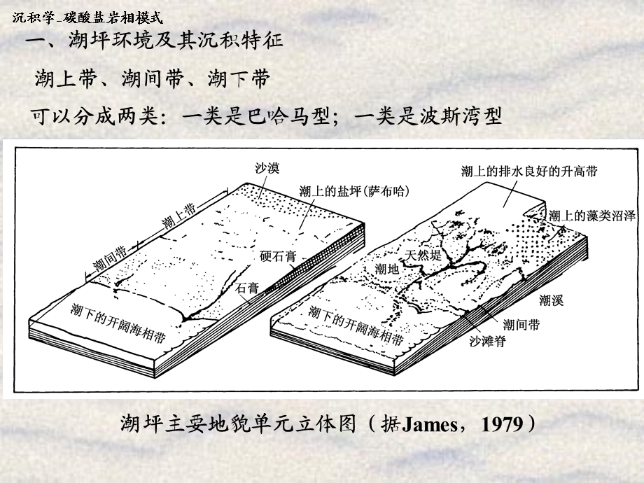 CH08B碳酸盐岩沉积相.ppt_第3页