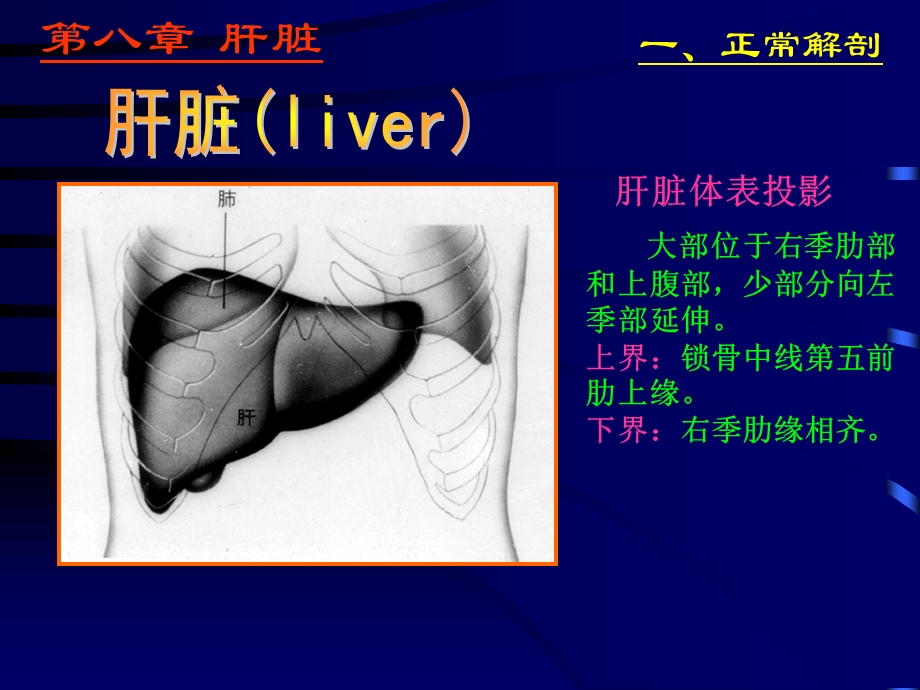 《肝脾超声静》PPT课件.ppt_第2页