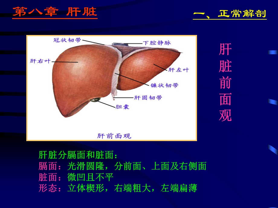 《肝脾超声静》PPT课件.ppt_第3页