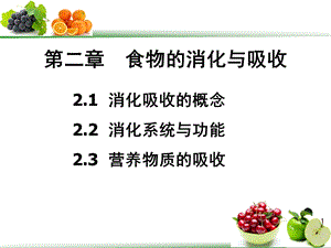 第二章食物的消化与吸收.ppt