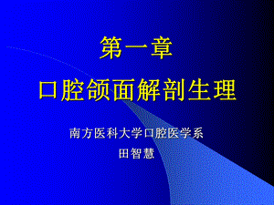 口腔颌面部解剖讲课幻灯.ppt