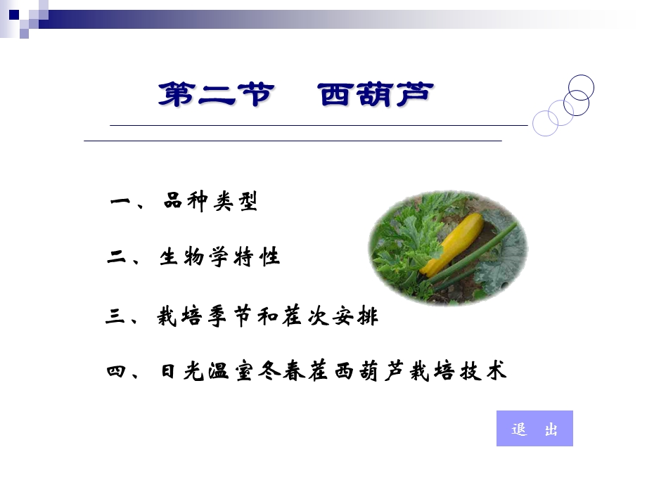 【教学课件】第二节西葫芦.ppt_第1页