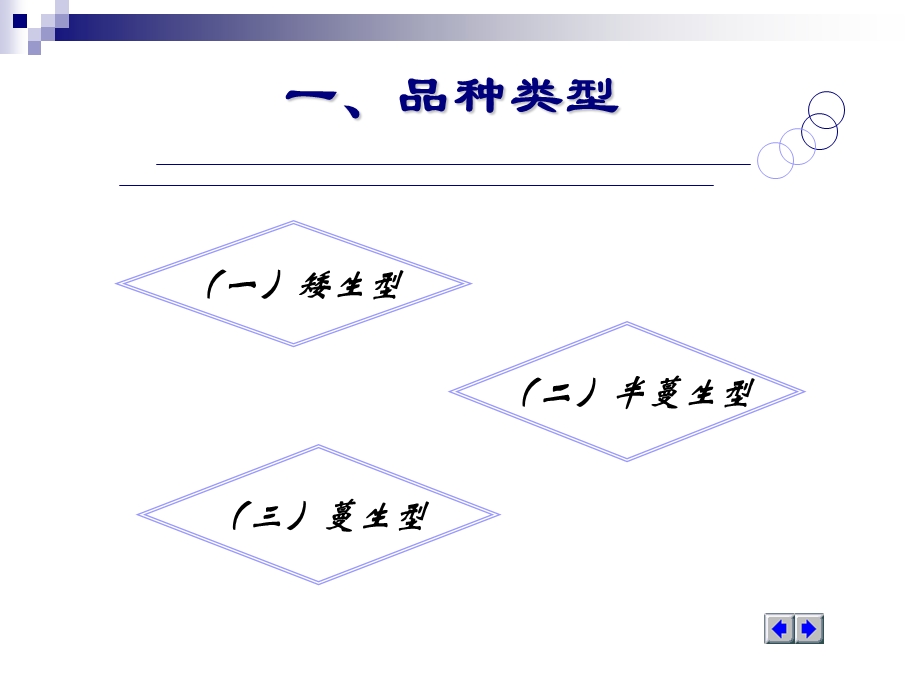 【教学课件】第二节西葫芦.ppt_第2页