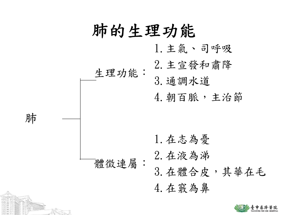 肺脏的药膳介绍.ppt_第3页