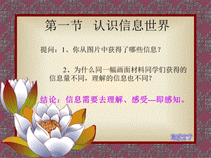 一节认识信息世界.ppt