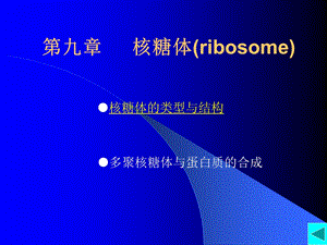 【教学课件】第九章核糖体(ribosome).ppt