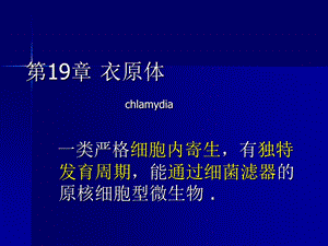 衣原体chlamydia.ppt