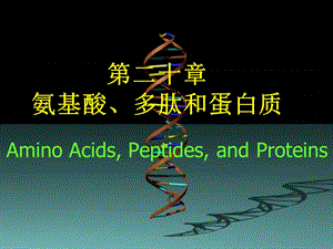 chapter21 氨基酸、蛋白质与核酸.ppt