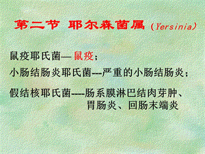 【教学课件】第二节耶尔森菌属(Yersinia).ppt