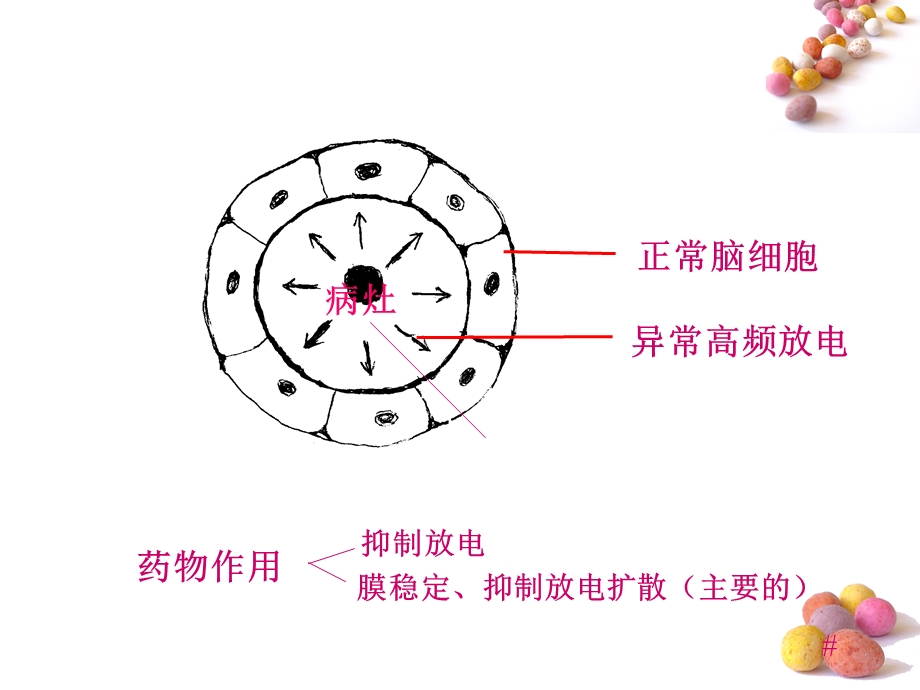 第十二章抗癫痫药.ppt_第3页