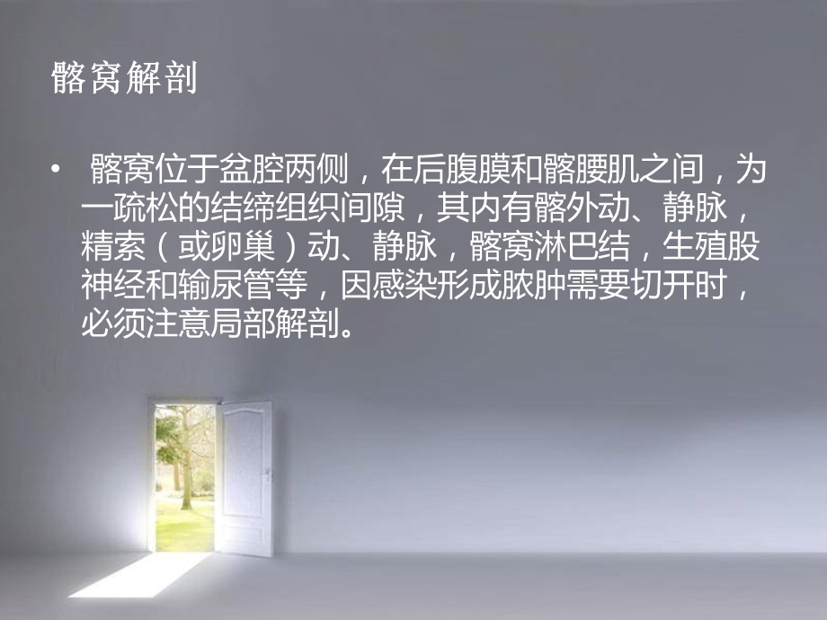 髂窝脓肿 课件.ppt_第2页