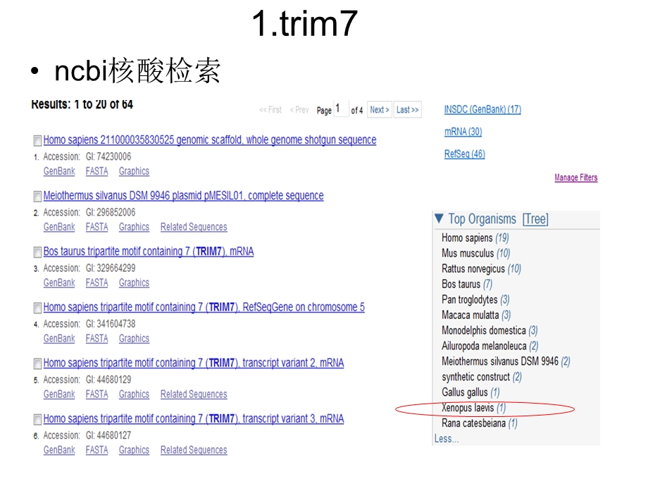 《rim基因讲》PPT课件.ppt_第2页