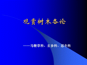 《观赏树木各论》PPT课件.ppt