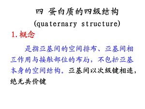 蛋白质的四级结构.ppt