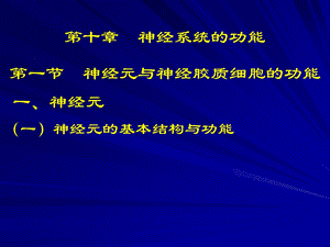 【教学课件】第十章神经系统的功能.ppt