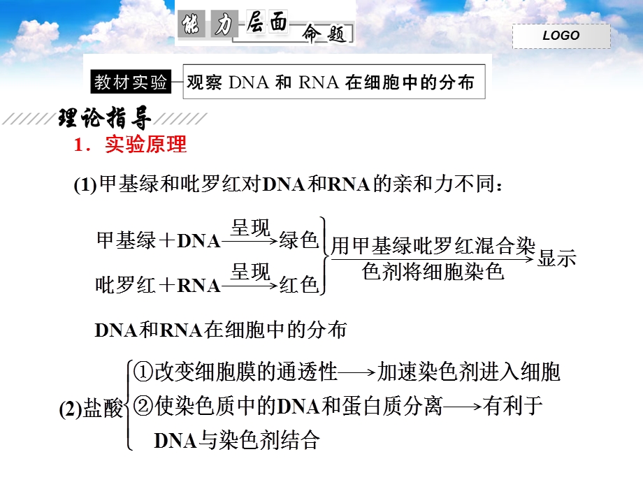 【教学课件】第四讲核酸、糖类和脂质.ppt_第2页