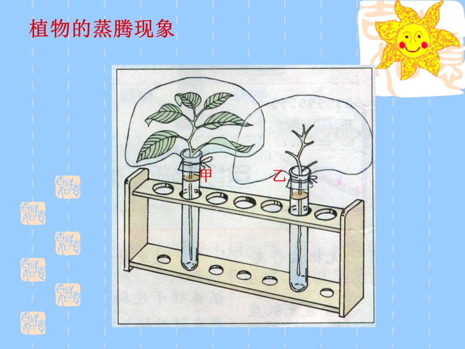 《蒸腾作用》PPT课件.ppt_第3页