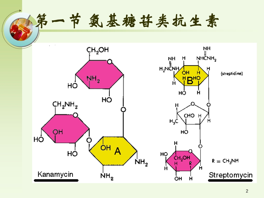 【教学课件】第三十六章氨基糖苷类及多黏菌素类.ppt_第2页