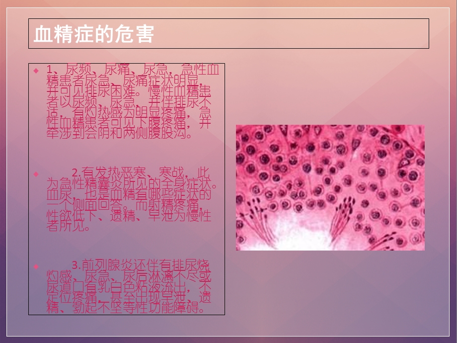 《血精症的危害》PPT课件.ppt_第3页