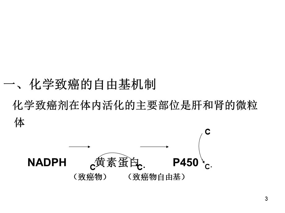 七、八、自由基与肿瘤、缺血再灌注.ppt_第3页