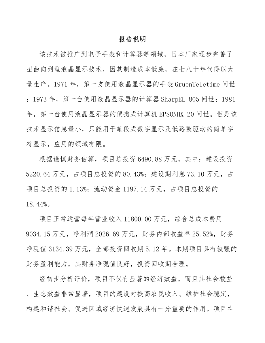 南通导光板项目可行性研究报告.docx_第1页