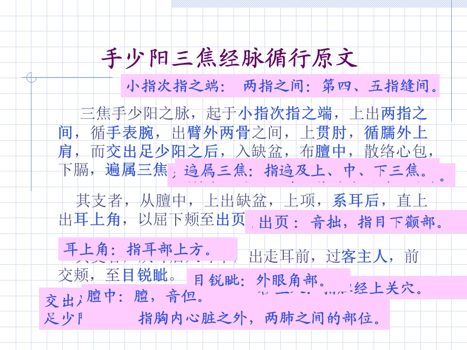 三焦经人体经络穴位图谱.ppt_第2页