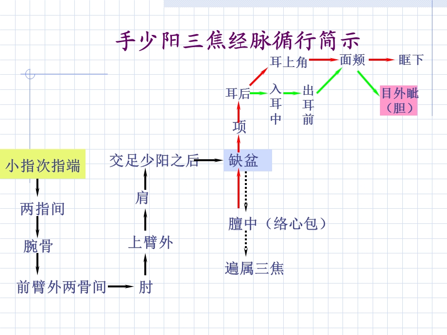 三焦经人体经络穴位图谱.ppt_第3页