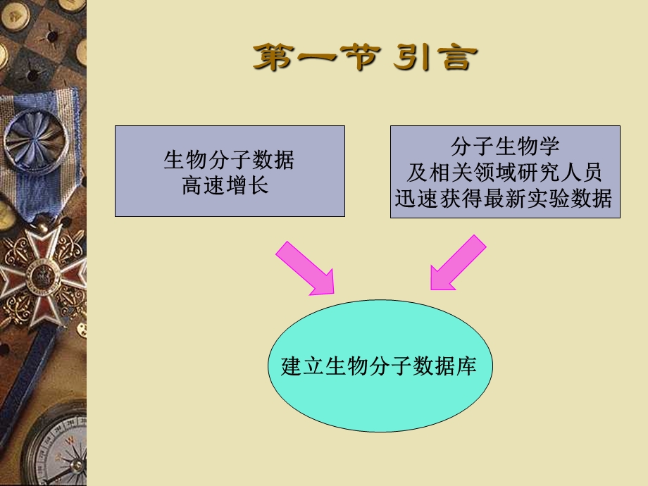 【教学课件】第四章生物分子数据库.ppt_第2页