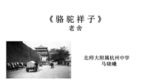 《骆驼祥子》说课PPT课件.ppt