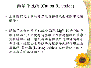 阳离子吸持CationRetention.ppt