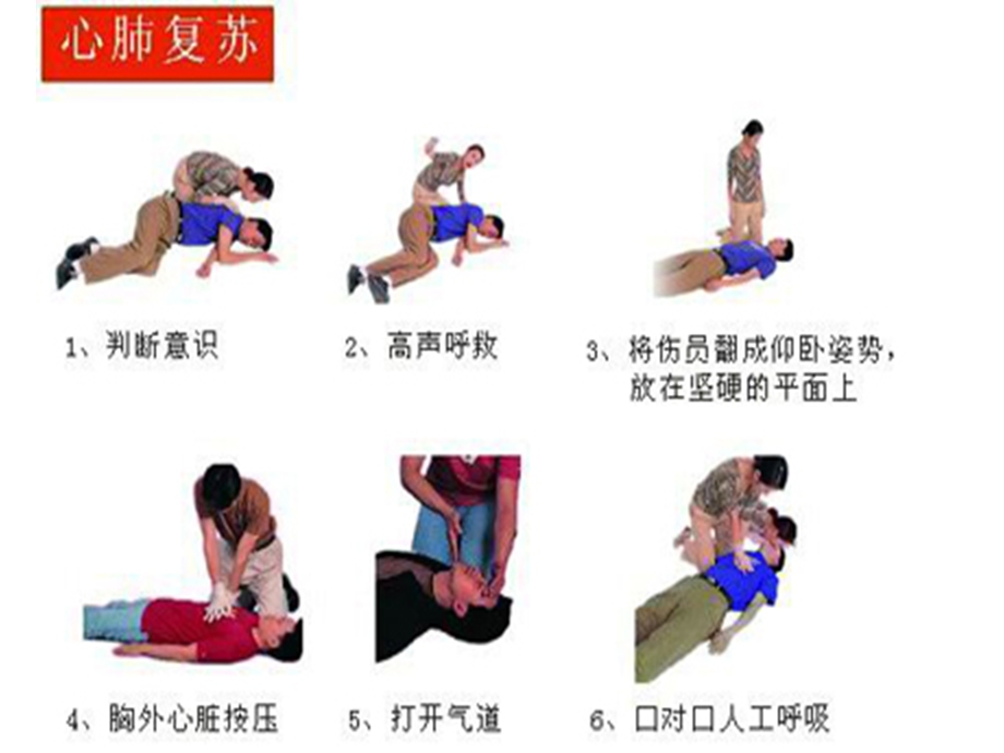 cpr、及喉异物操作流程 ppt课件.ppt_第3页