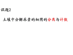 课题土壤中分解尿素的细菌的分离与计数.ppt