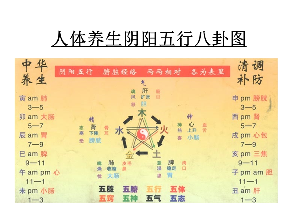 阴阳五行与养生ppt课件.ppt_第2页