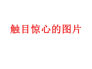 《触目惊心的》PPT课件.ppt