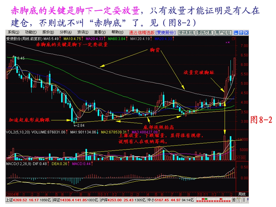 《脚踢出大黑马》PPT课件.ppt_第3页