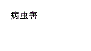 《病虫害微专题》PPT课件.ppt