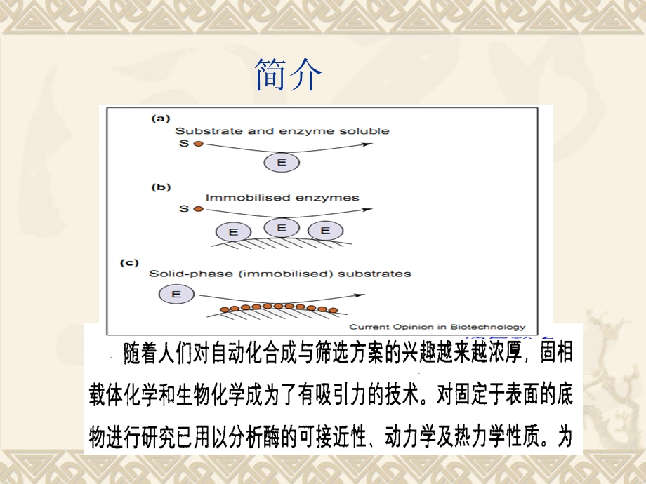 《酶对固定化底物》PPT课件.ppt_第2页