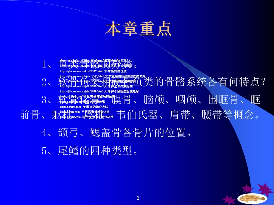 《鱼硬骨骨骼系统》PPT课件.ppt_第2页