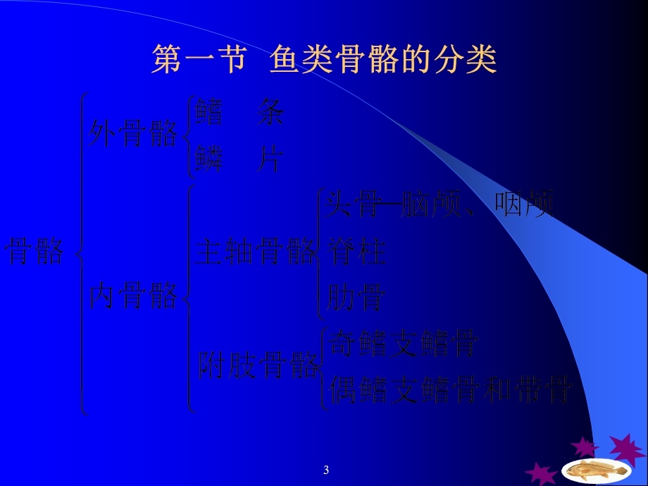 《鱼硬骨骨骼系统》PPT课件.ppt_第3页