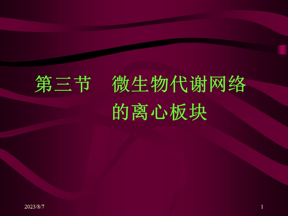 【教学课件】第三节微生物代谢网络的离心板块.ppt_第1页