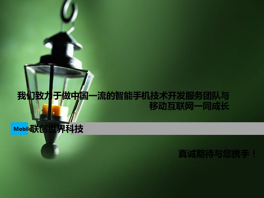 《联创世界科技》PPT课件.ppt_第2页