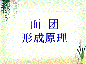 《面团形成原理》PPT课件.ppt