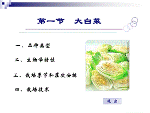 一节大白菜.ppt